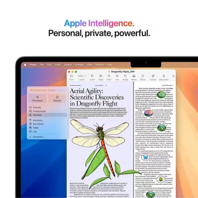 Apple 13" MacBook Air (M4 Chip) with 10-Core GPU